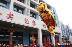 醒狮贺岁，九游网页版·官方站入口-九游online(中国)2019年开工大吉